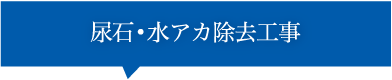 初期洗浄パック（初回のみ）